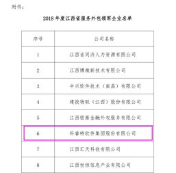 科睿特軟件集團榮獲2018年江西省服務外包領軍企業稱號